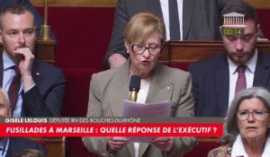 Gisèle Lelouis : «Voila deux ans et demi que vous êtes ministre avec Éric Dupond-Moretti, qu'avez-vous fait ?»