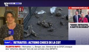 Retraites: des agents de la mairie de Paris ont déversé des cadavres de rats devant l'hôtel de ville