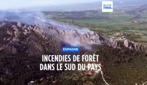 Espagne : incendies de forêt dans le sud du pays
