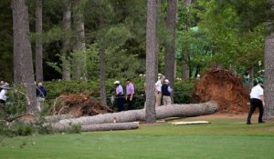 Golf : des arbres tombent sur des spectateurs lors du Masters d'Augusta