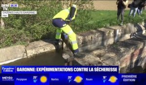 Sécheresse: une expérimentation pour réalimenter la Garonne en rechargeant les nappes phréatiques