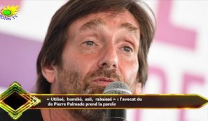 « Utilisé, humilié, sali, rabaissé » : l'avocat du  de Pierre Palmade prend la parole