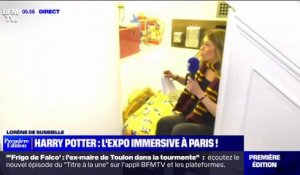 Placard sous l'escalier, Poudlard, cabane d'Hagrid... L'exposition immersive Harry Potter débarque à Paris