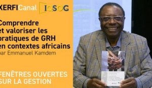 Comprendre et valoriser les pratiques de GRH en contextes africains [Emmanuel Kamdem]