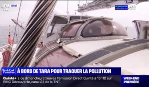 BFMTV a embarqué à bord du bateau Tara, où les scientifiques étudient l'impact de la pollution terrestre dans la mer