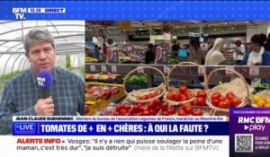 Ce producteur de tomates demande aux distributeurs de "baisser leurs marges" sur les produits français