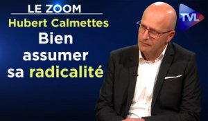 Le zoom -  Hubert Calmettes : Le guide marketing du dissident
