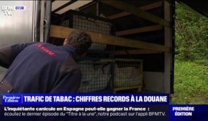 650 tonnes de tabac saisies en France l'année dernière, un record