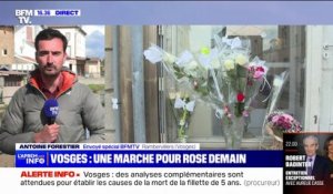 Vosges: une "marche rose" en hommage à la petite Rose prévue ce samedi à Rambervillers