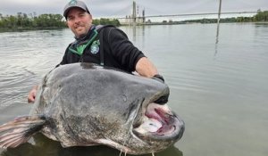 Rhône : un passionné pêche un silure de 2,70 mètres, l'un des plus grands jamais trouvés dans le monde