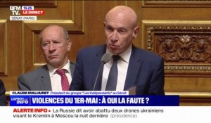 Violences du 1er-mai: la "zadisation de l'Assemblée nationale est en train de saper la confiance des Français" pour le président du groupe "Les Indépendants" au Sénat