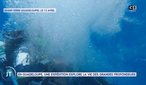 Le journal : En Guadeloupe, une expédition explore la vie des grandes profondeurs
