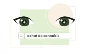 Vous achetez du cannabis en ligne ? Assurez-vous de choisir légal