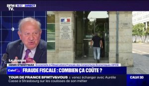 Fraude fiscale: "Il faut distinguer ce qui est récupérable du vrai montant de la fraude" estime Henri Sterdyniak (OFCE)