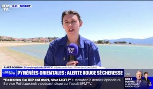 Interdiction de laver son véhicule, d'arroser son potager… les restrictions pour lutter contre la sécheresse dans les Pyrénées-Orientales