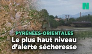 Face à la sécheresse dans les Pyrénées-Orientales, des restrictions d'eau et des sanctions prévues