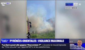 Pyrénées-Orientales: les feux fixés, mais le risque de reprise est "important"