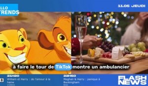 Un ambulancier apaise une enfant en chantant une chanson de Disney sur TikTok !