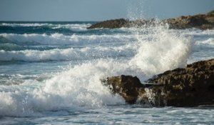 7 façons d'aider à garder les océans propres