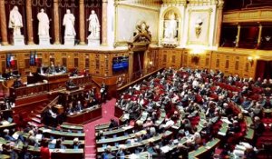 100% Sénat - Pénurie de médicaments : Marisol Touraine auditionnée