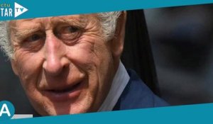 Charles III inquiet pour Harry et Meghan : la hache de guerre enterrée provisoirement ?