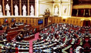 100% Sénat - Action diplomatique de la France : Catherine Colonna auditionnée