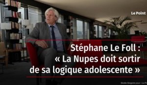 Stéphane Le Foll : « La Nupes doit sortir de sa logique adolescente »