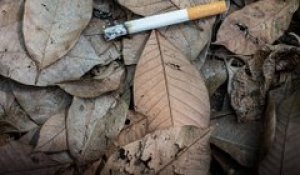 [DREAL Centre-Val de Loire] Sensibilisation cigarette au sol