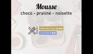 Mousse choco-praliné et noisettes | regal.fr