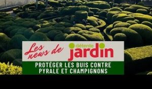 Jardins de Marqueyssac : Protéger les buis contre pyrale et champignons