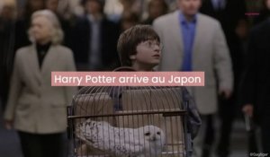 Ouverture du Parc Harry Potter à Tokyo, le plus grand du monde
