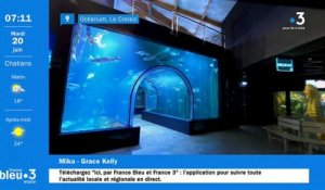 20/06/2023 - Le 6/9 de France Bleu Loire Océan en vidéo