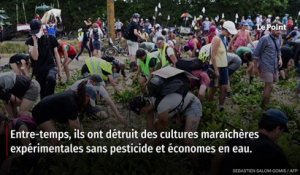 Les Verts à moitié vides