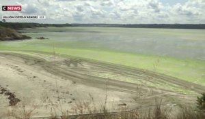 Algues vertes : Les plages interdites cet été ?
