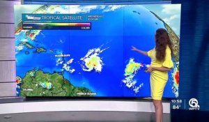 Tempête tropicale Bret: La Martinique est placée en alerte cyclonique rouge en raison des violentes rafales de vent attendues