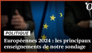 Européennes 2024: les principaux enseignements de notre sondage