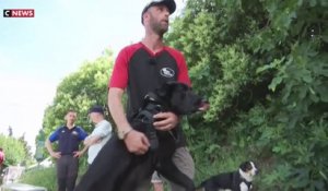 Un soldat blessé et un chien maltraité pour un duo thérapeutique