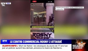 Émeutes: un centre commercial de Rosny-sous-Bois pillé
