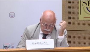 Commission d'enquête sur le Fonds Marianne: "Il apparaît en effet très clairement que le cabinet et la ministre déléguée ont outrepassé leur rôle", soulève Claude Raynal