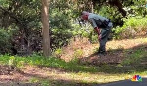 Une femme de 69 ans tuée par un alligator dans le sud-est des États-Unis, alors qu'elle promenait son chien à proximité d'un lagon bordant un terrain de golf