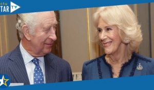 Charles III et Camilla : un homme retrouvé menotté aux grilles de Buckingham Palace