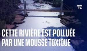 Brésil: la rivière Rio Tietê polluée par une mousse toxique