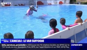 Canicule: la commune du Luc (Var) aménage un espace aquatique pour supporter la chaleur