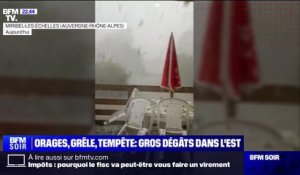 Orages: de gros dégâts causés par des rafales de vent et de la grêle dans l'est de la France