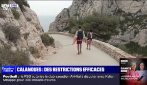 Calanques de Marseille: un an après la mise en place des restrictions, les effets sont positifs