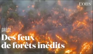 Incendies en Grèce : le point sur la situation à Rhodes et à Corfou