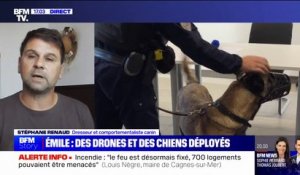 Chiens déployés à la recherche d'Émile: "Ces chiens vont permettre de retrouver des traces de sang, des ossements ou un corps", explique Stéphane Renaud (dresseur canin)