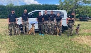 Démonstration d'éducation canine par des maîtres chiens de la gendarmerie