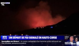 Incendie en Corse: un départ de feu signalé à Pigna, près de Calvi