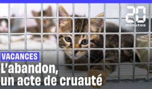 Pourquoi on a le droit d’abandonner ses animaux de compagnie en France ?